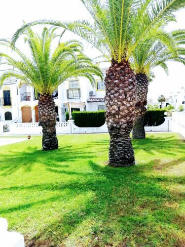 Bungalow De Vacaciones