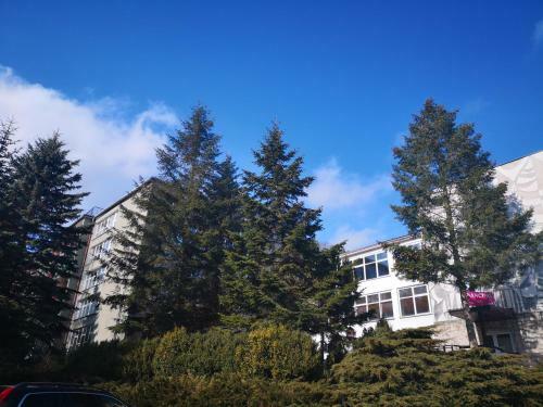 Apartament Zielony Zdr�j