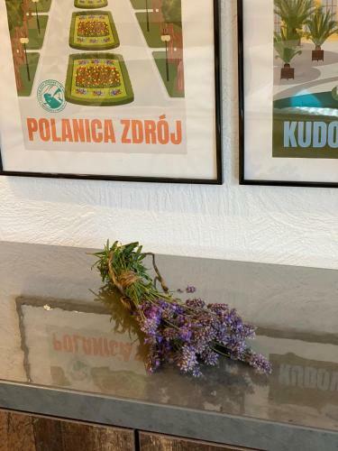 Apartamento Zielone Walizki