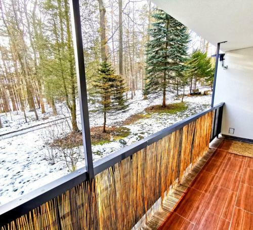 Apartament Okna Na Park
