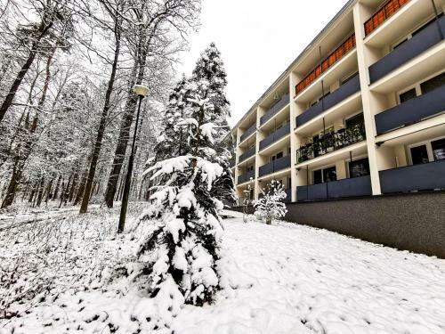 Apartament Okna Na Park