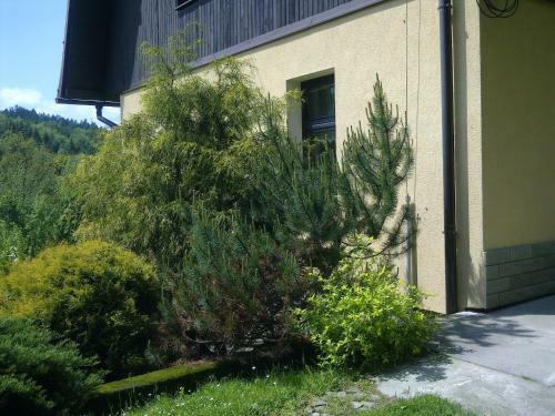 Apartamento Willa Kasztela?ska