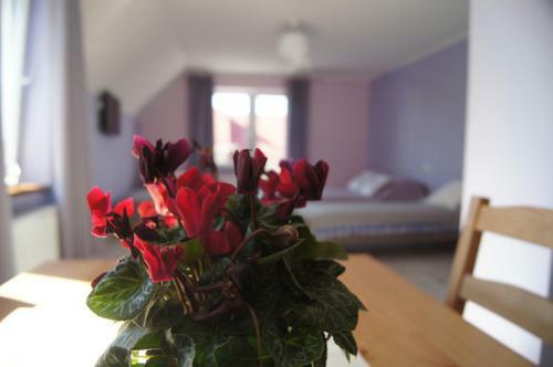 Apartamento Villa Terra