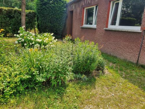 Apartament U Ani