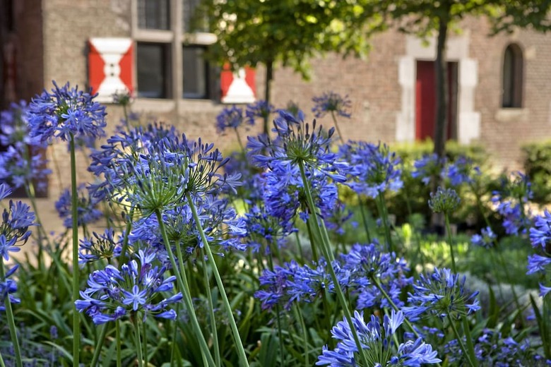 Kruisherenhotel Maastricht