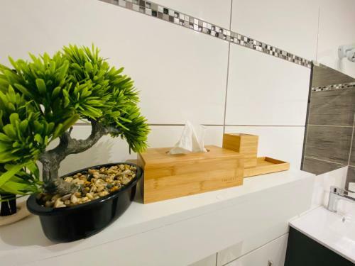 Apartament Na Star�wce II