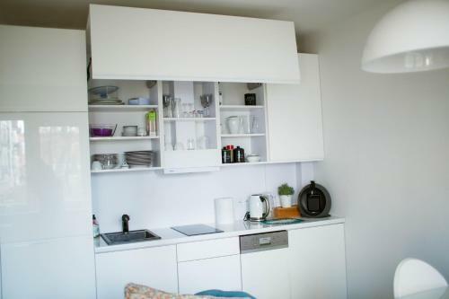 Flat White Apartament Pu?tusk