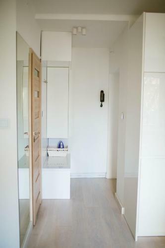 Flat White Apartament Pu?tusk