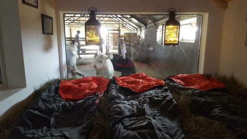 Agroturismo Alpaka-ranczo Aff
