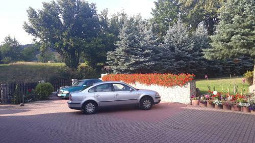 Anton�wka "pod Dudziarzem"