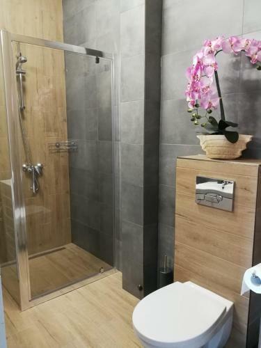 Apartament Liliana