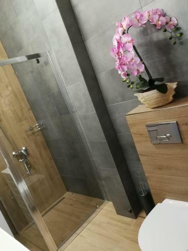 Apartament Liliana