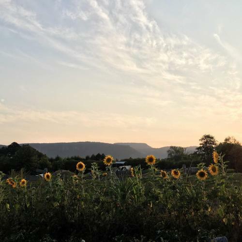 Agroturismo Siedem ?an�w