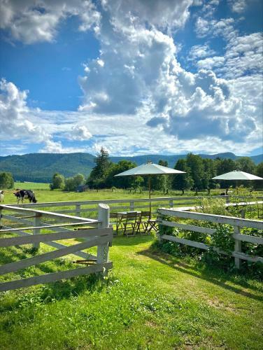 Agroturismo Siedem ?an�w