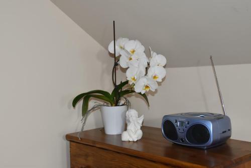 Apartamento Brown