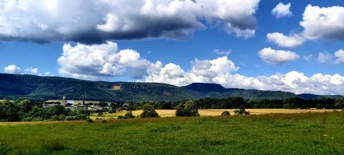 Apartamento Kamienica Radk�w