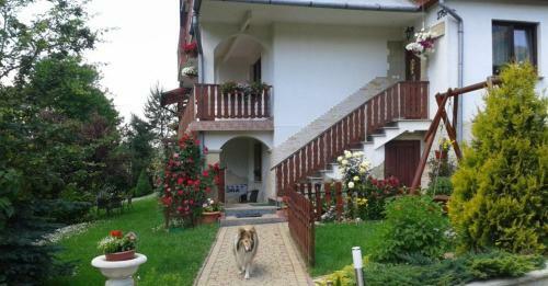 Hostal Domek Pod Maciejow?