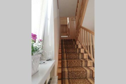 Apartament W Alejce