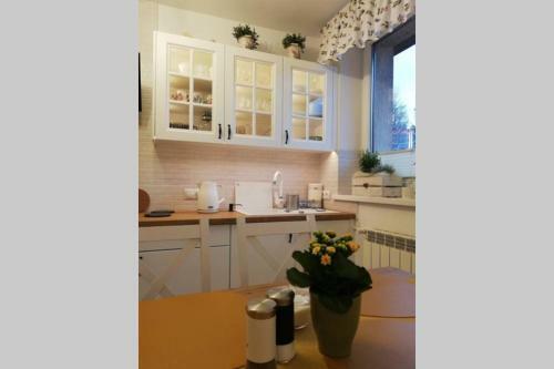 Apartament W Alejce