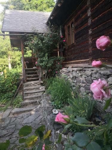 Caput�wka 100letnia G�ralska Chata