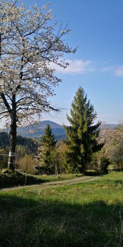 Caput�wka 100letnia G�ralska Chata