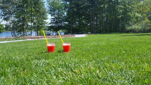 Apartamento Forest House - Domy Mazur
