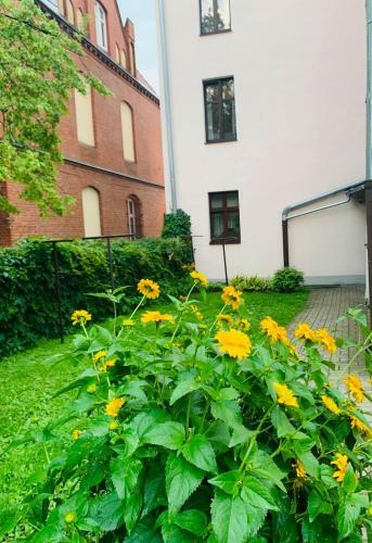 Apartament W Starej Kamienicy W Reszlu