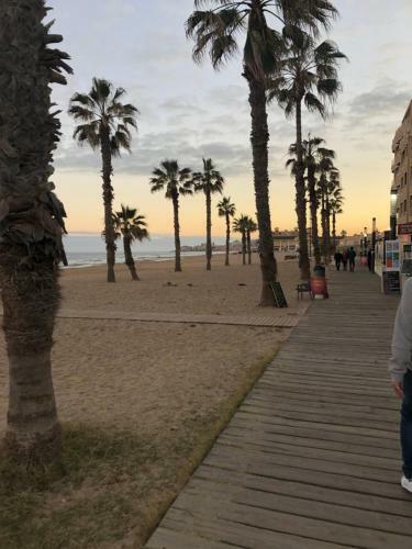 Apartamento La Mata - Torrevieja