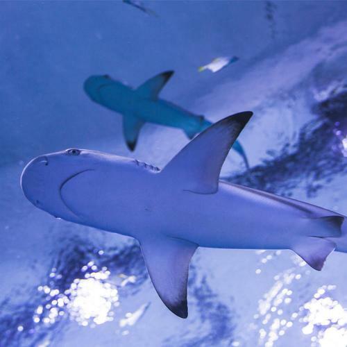 Apartament Aquapark Reda "destination"