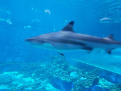 Apartament Aquapark Reda "destination"