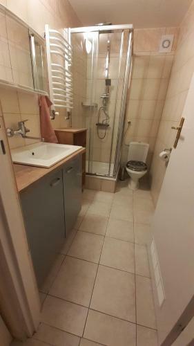 Apartamento Jastrz?b