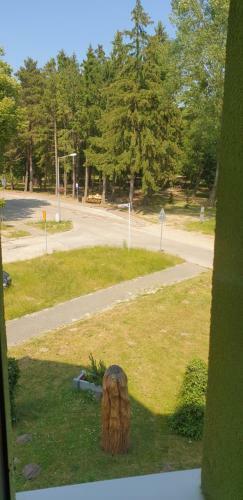 Apartamento Rozewianka