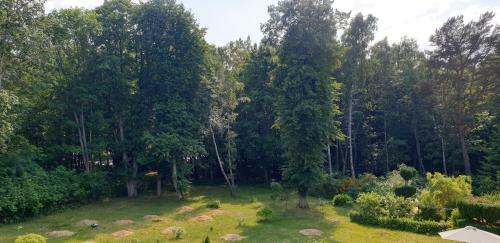 Apartamento Rozewianka
