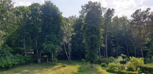 Apartamento Rozewianka