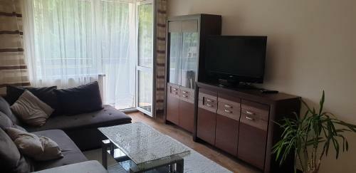 Apartamento Rozewianka
