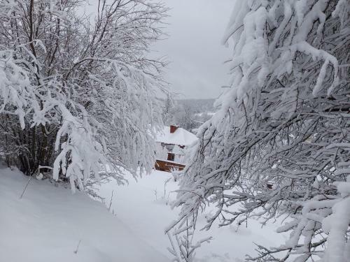 Hostal Willa Rudenka