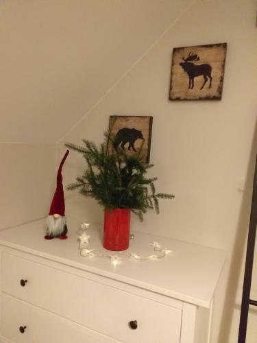 Apartamento Mazurska Gaj�wka