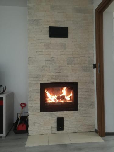 Apartament ?wirowa