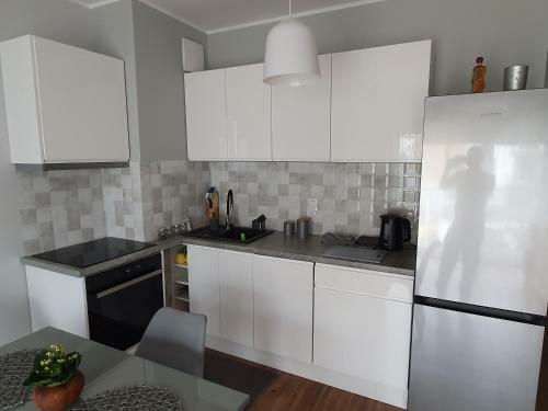 Apartament Na B?oniach