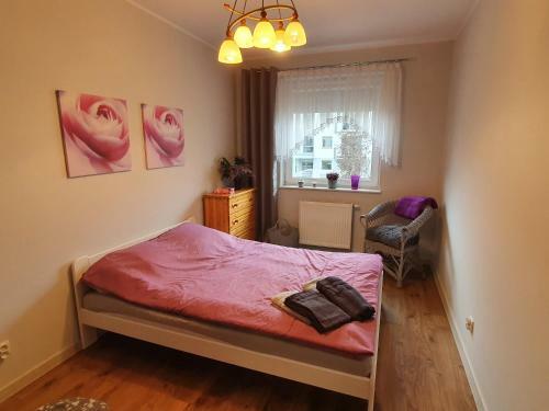 Apartament Na B?oniach