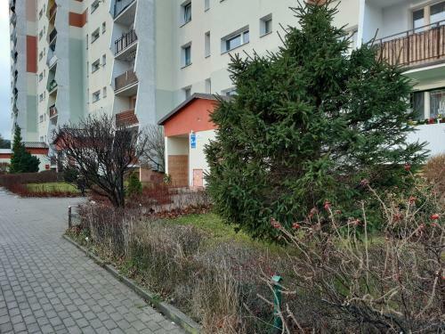 Apartamencik W Centrum