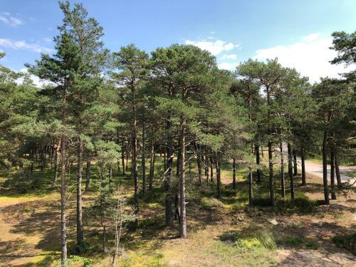 Apartamento Hilltom By The Sea
