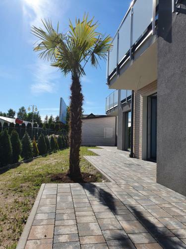Apartamenty Mieszko Rowy