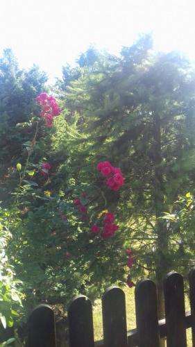 Apartament Miriada 16