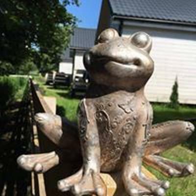 Domki U Pana Zielonki