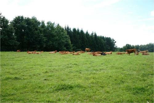 Agroturismo Z?ota Le?nicz�wka