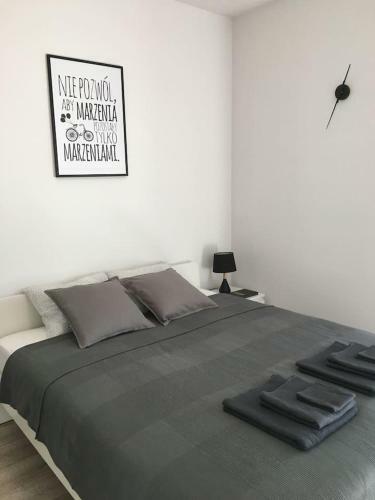 Apartamento Studio Fibra Lungo
