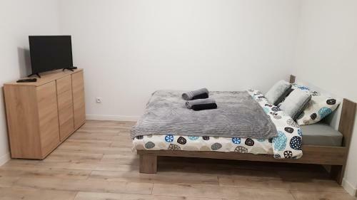 Apartament Fibra Frappe