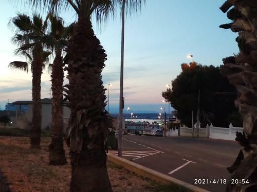 Apartamento Torre Zeus - La Mata