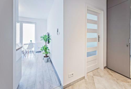 Good Time Apartments Strzelecka B